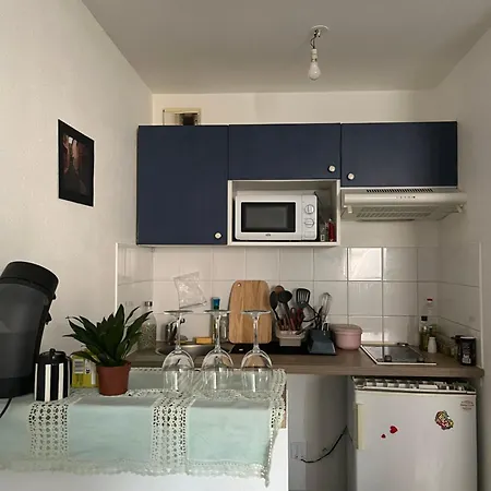 T2 Avec Piscine Διαμέρισμα Τουλούζη